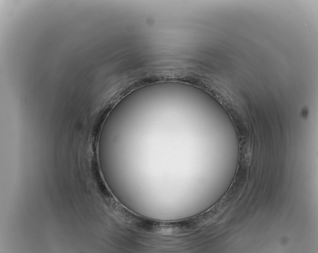 X0000095130746200712071007