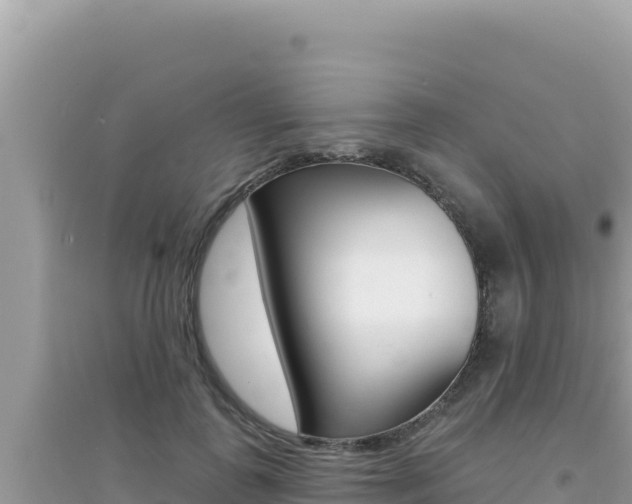 X0000095130747200712071007