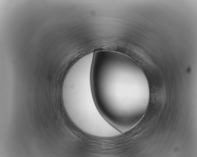 X0000095130748200712071007