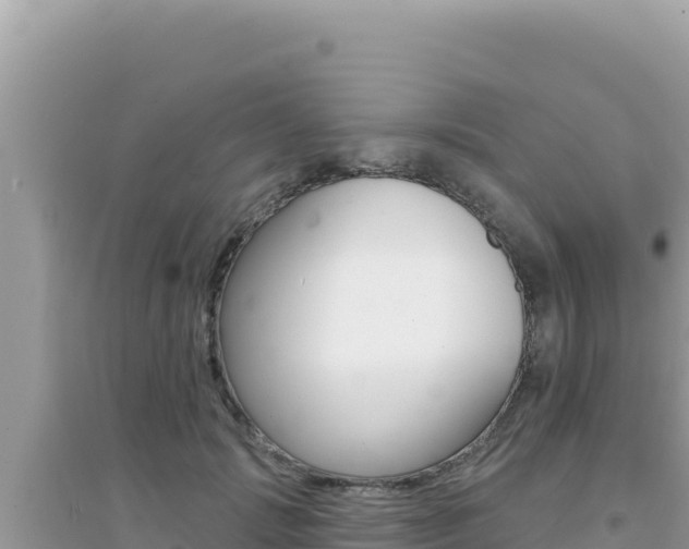 X0000095130749200712071007