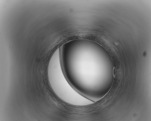 X0000095130750200712071007