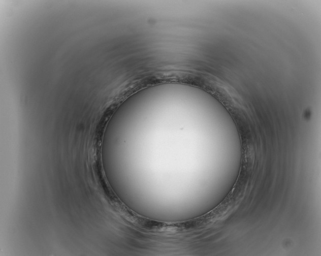 X0000095130751200712071007