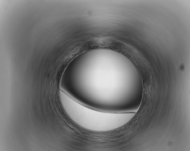 X0000095130752200712071007