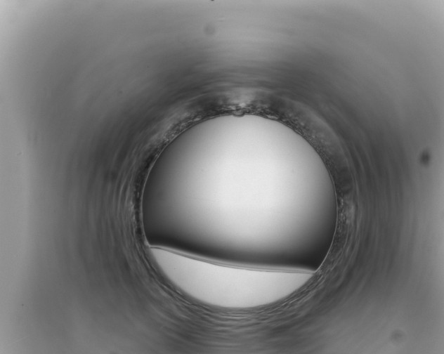 X0000095130754200712071007