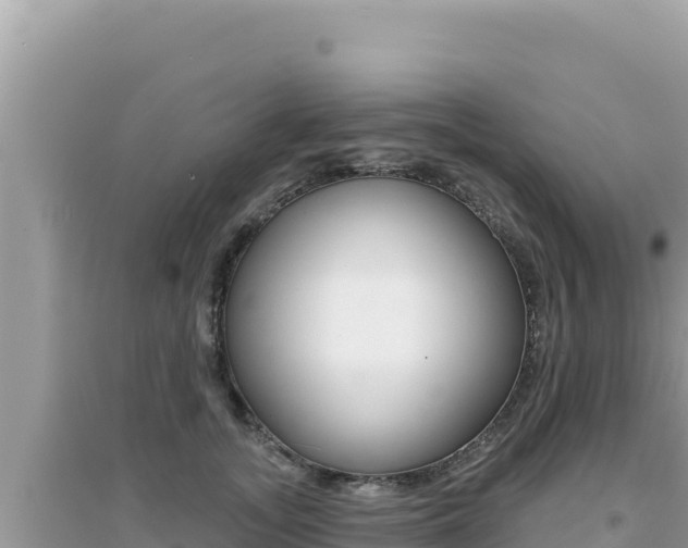 X0000095130755200712071007