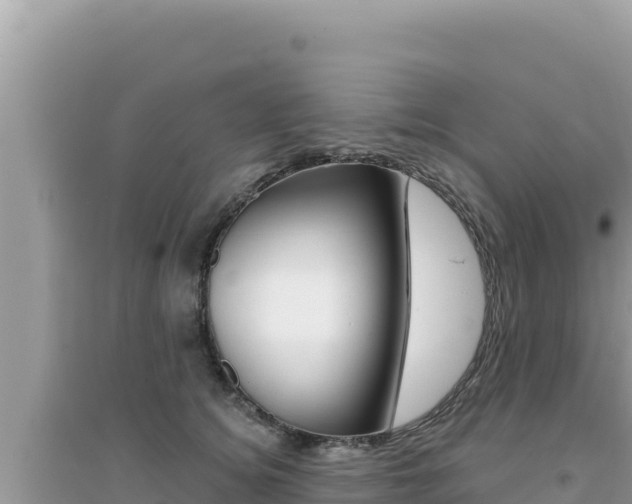X0000095130756200712071007