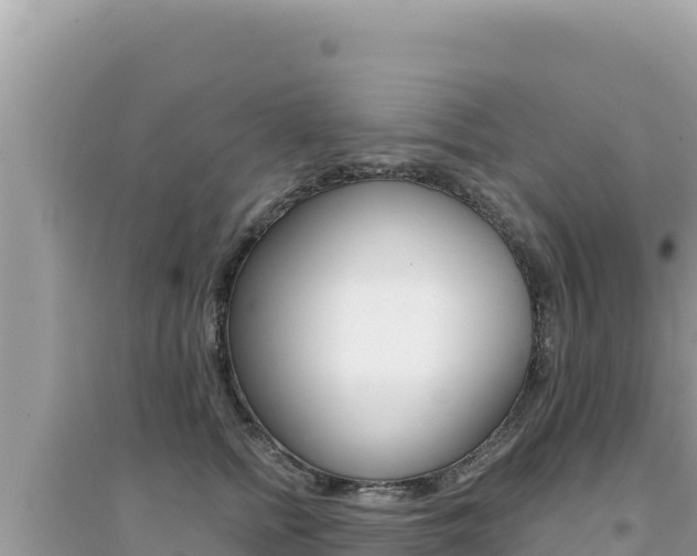 X0000095130758200712071007
