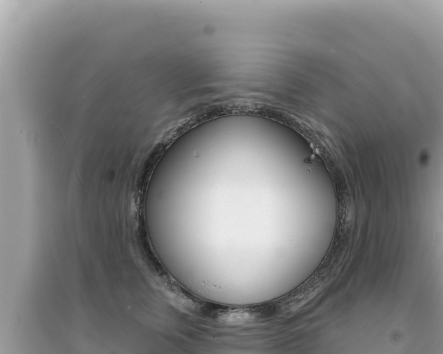 X0000095130759200712071007