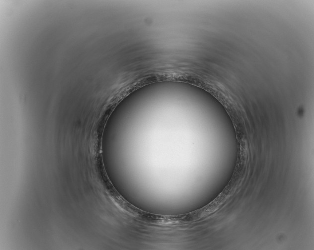 X0000095130760200712071007