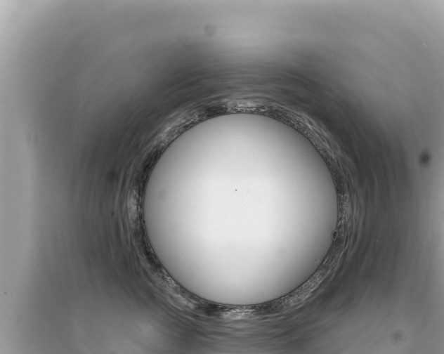X0000095130761200712071007
