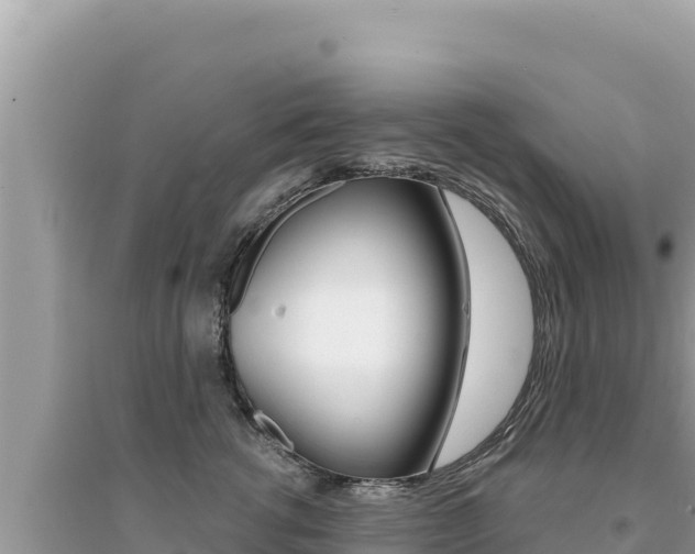X0000095130762200712071007
