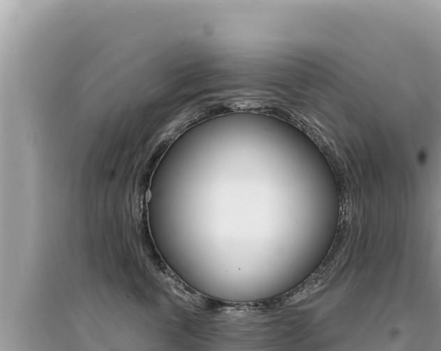 X0000095130763200712071007