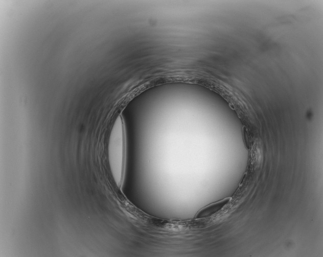 X0000095130764200712071008