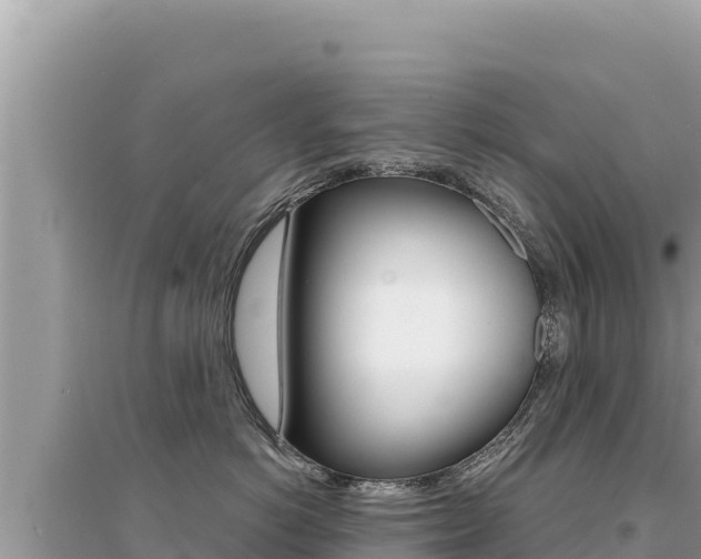 X0000095130766200712071008