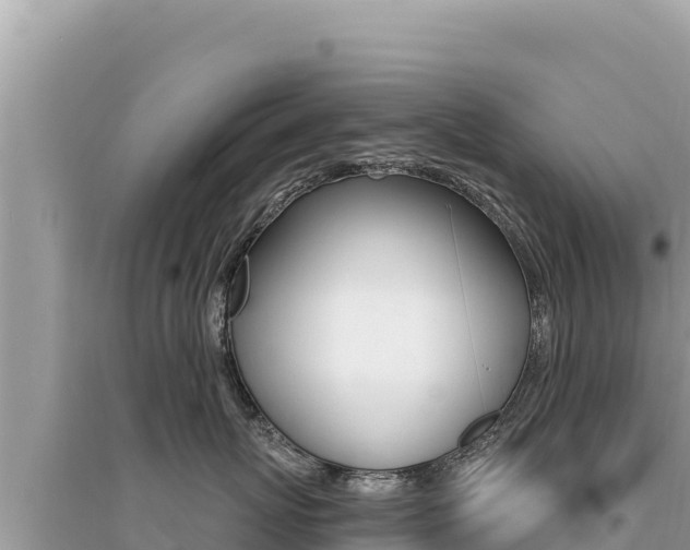 X0000095130767200712071008