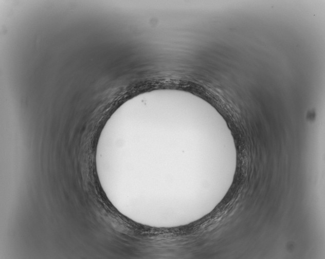 X0000095130769200712071007