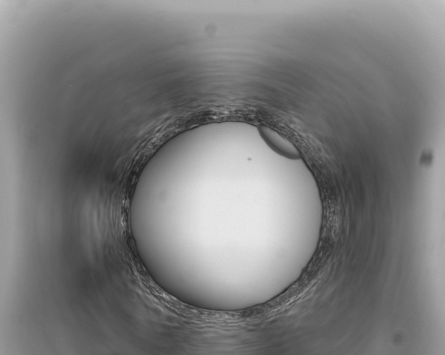 X0000095130770200712071007