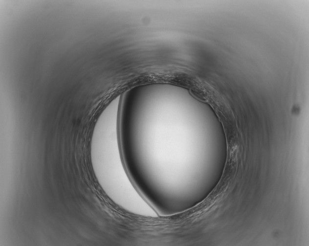 X0000095130772200712071007