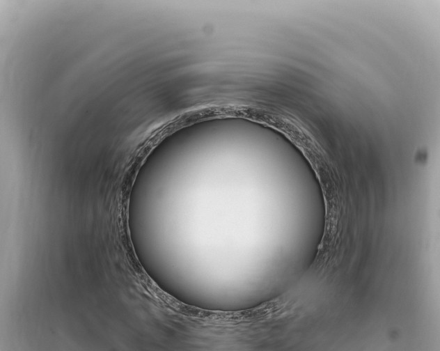X0000095130773200712071007
