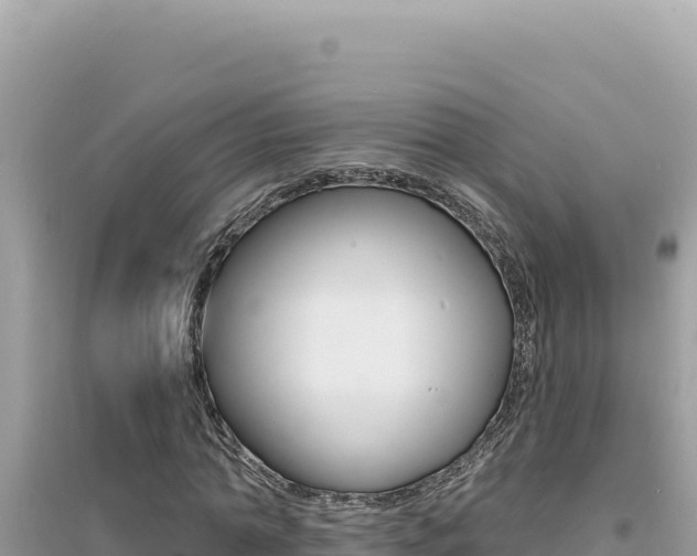 X0000095130774200712071007