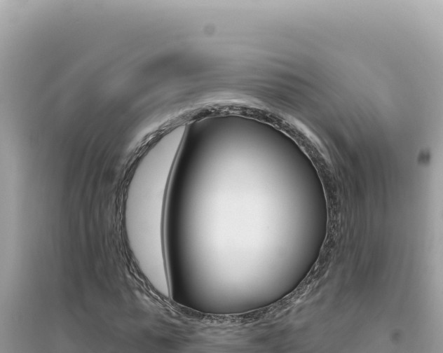 X0000095130775200712071007
