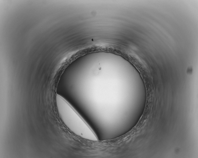 X0000095130776200712071007