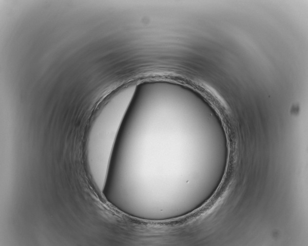 X0000095130777200712071007