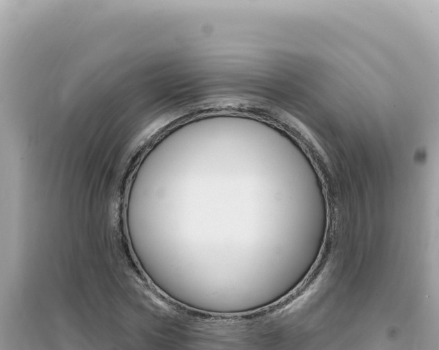 X0000095130778200712071007