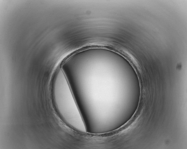 X0000095130779200712071007