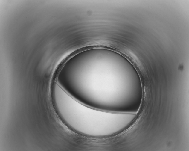 X0000095130780200712071007