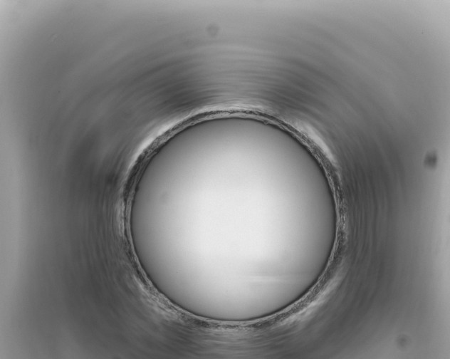 X0000095130781200712071007