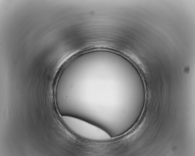 X0000095130782200712071007