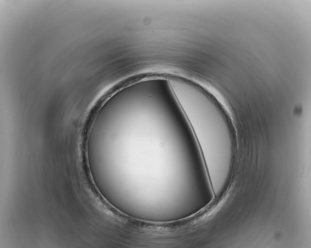 X0000095130783200712071007