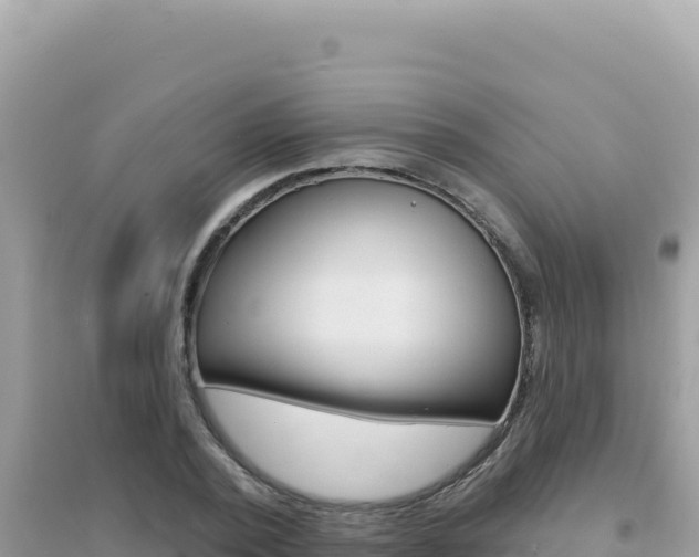 X0000095130784200712071007