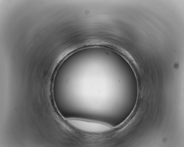 X0000095130786200712071007