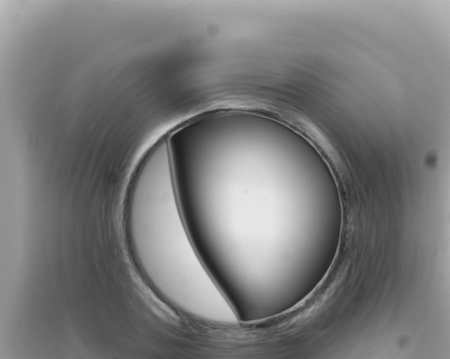 X0000095130787200712071007
