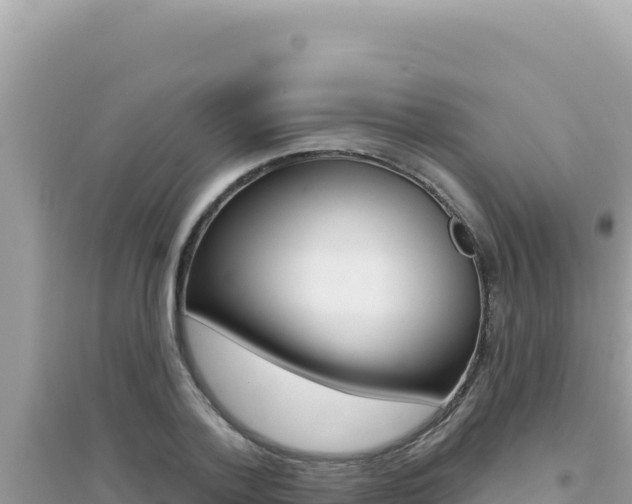 X0000095130788200712071007