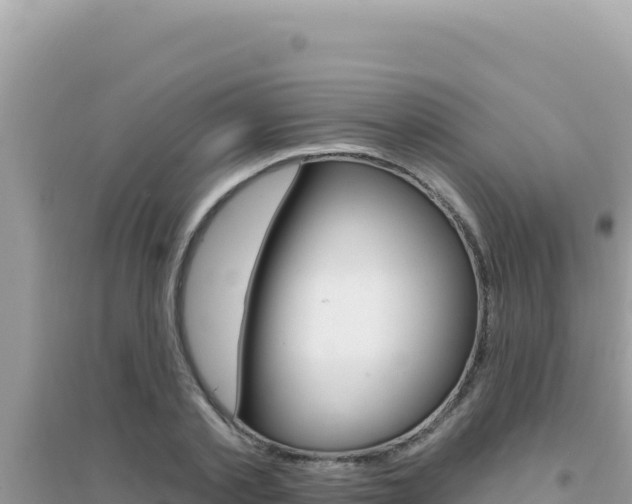 X0000095130789200712071007