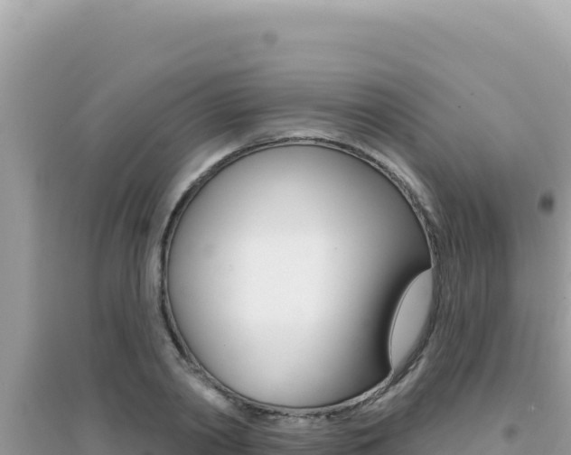 X0000095130790200712071007
