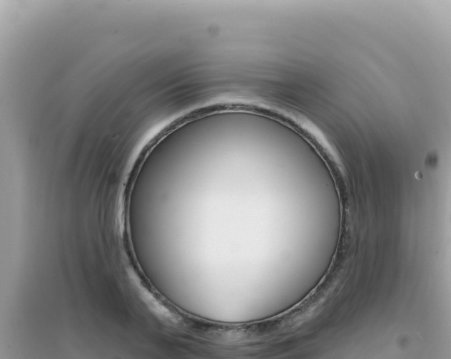 X0000095130791200712071007