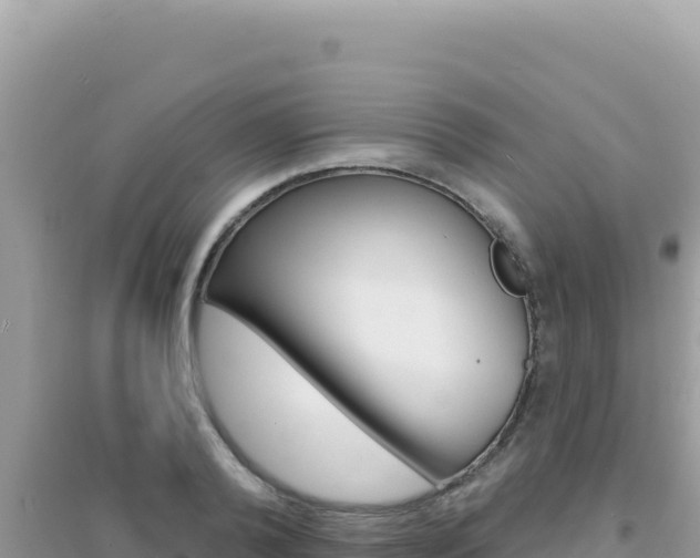 X0000095130792200712071007