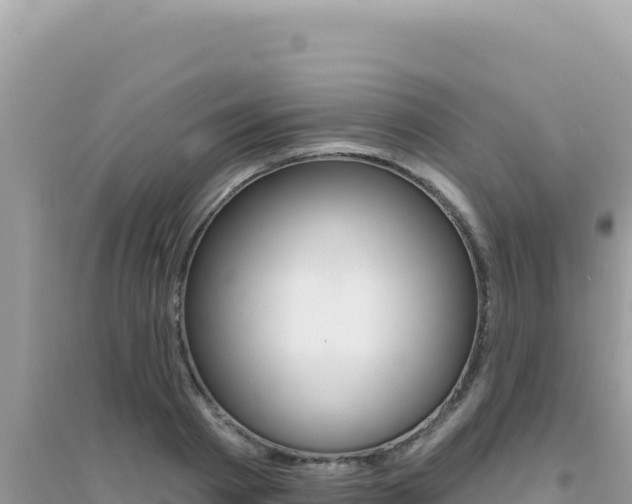 X0000095130793200712071007