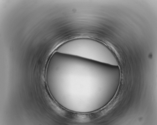 X0000095130794200712071007