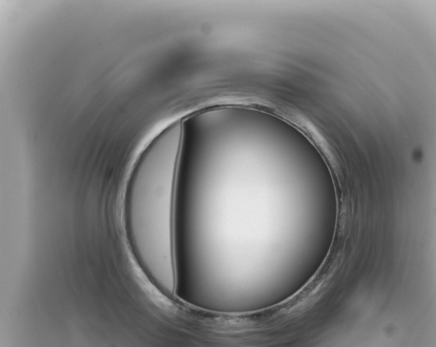 X0000095130795200712071007