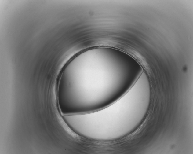 X0000095130796200712071007