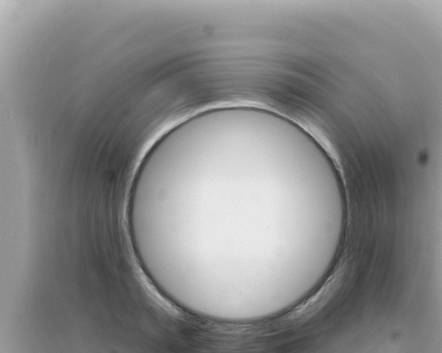 X0000095130797200712071007