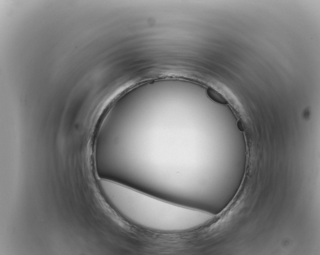 X0000095130798200712071006