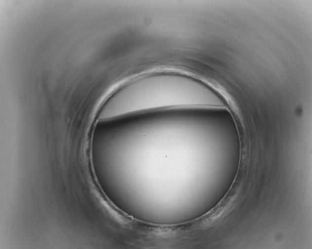 X0000095130799200712071006