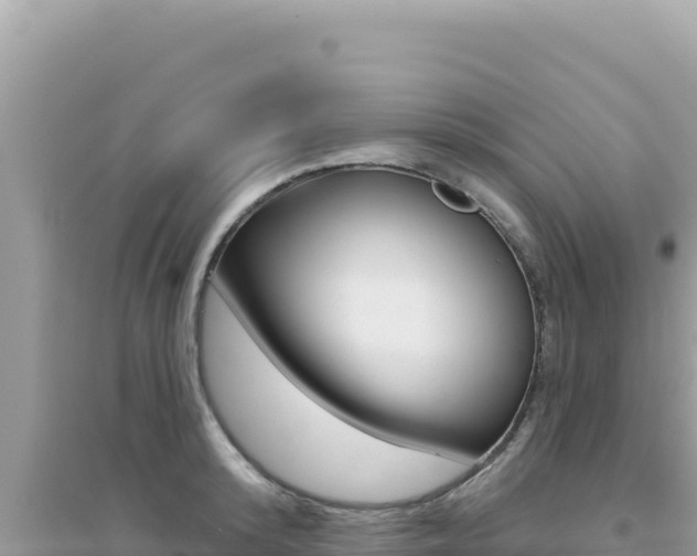X0000095130800200712071006