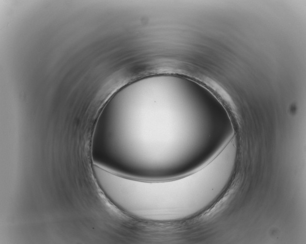 X0000095130801200712071006